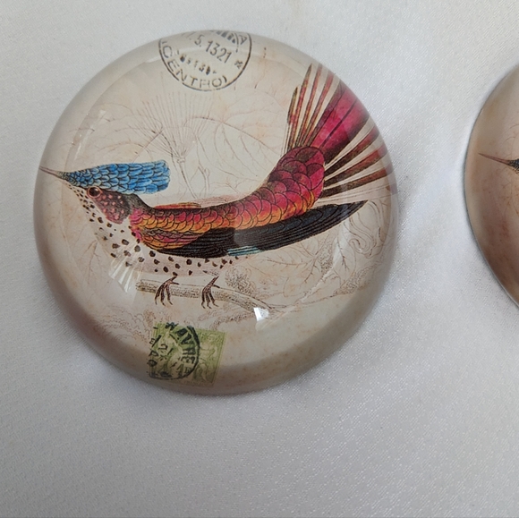 Pair of glass dome shaped paper weights. Pheasant like Bird graphics. - Picture 2 of 8